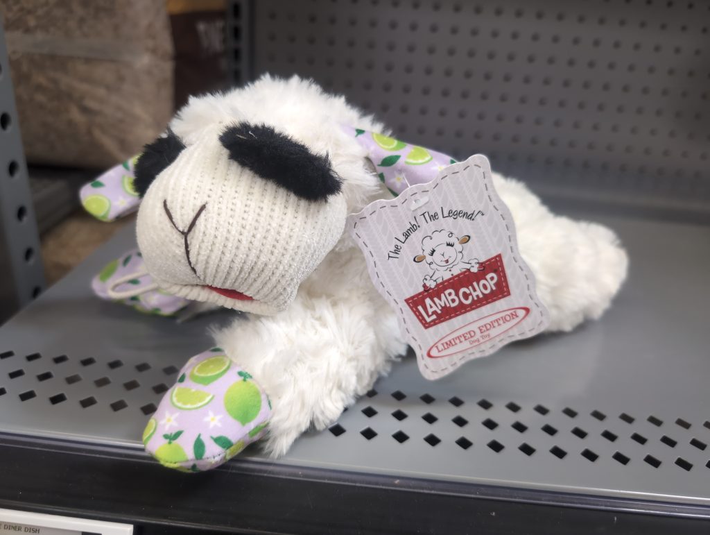 The beloved puppet, Lamb Chop, now as a dog's chew toy.