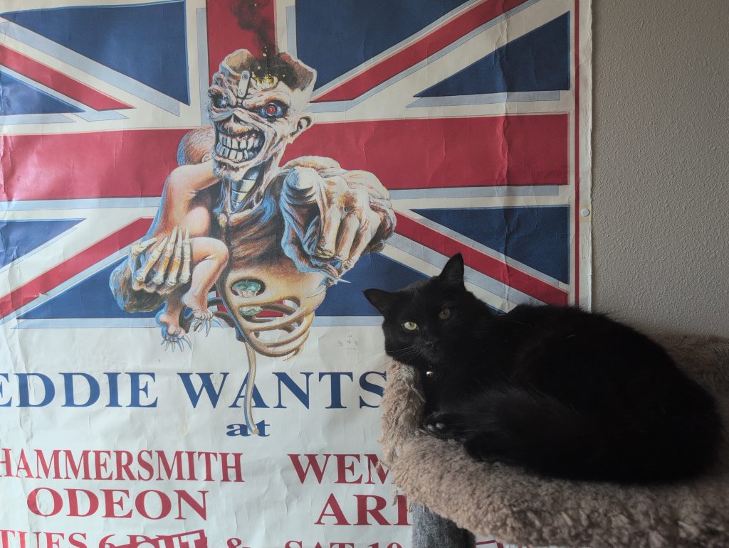 Lucretia, on the cat perch in front of my Iron Maiden poster