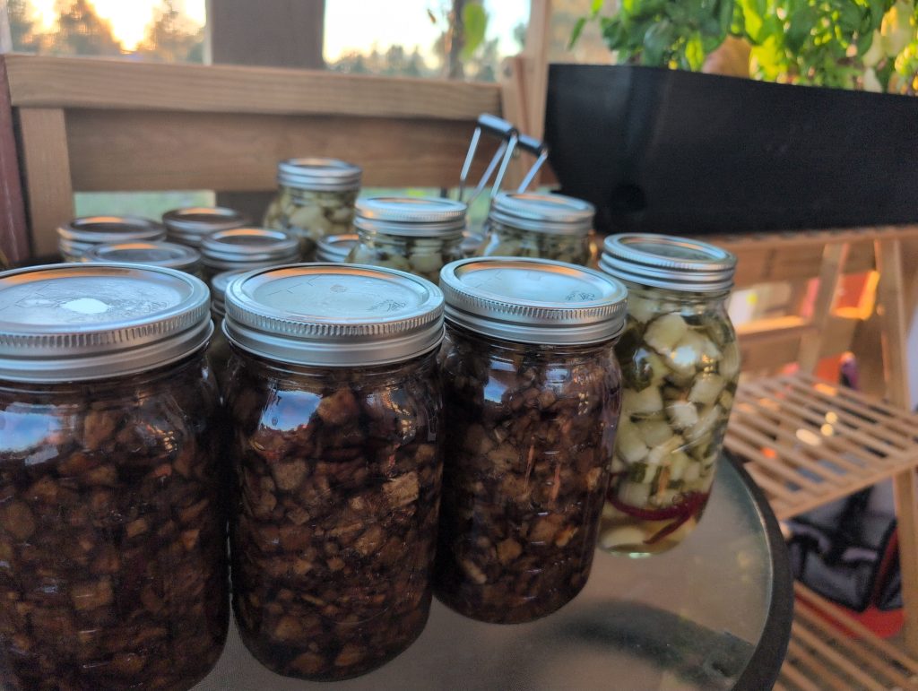 Photo of the first pickle project results - 4 quart and 8 pint jars.